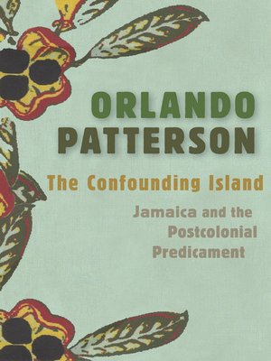 cover image of The Confounding Island
